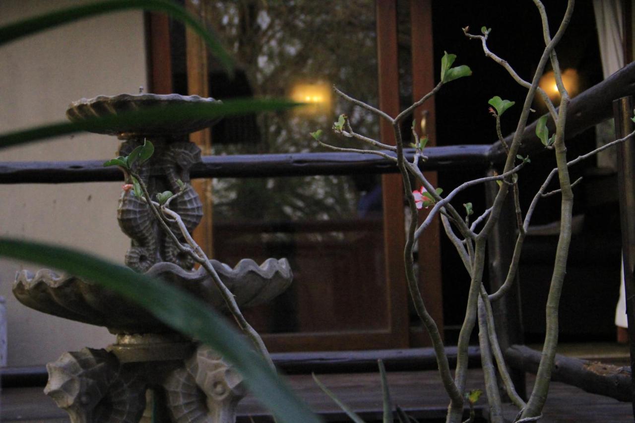 Hoedspruit Raptors Lodge N16 Zewnętrze zdjęcie