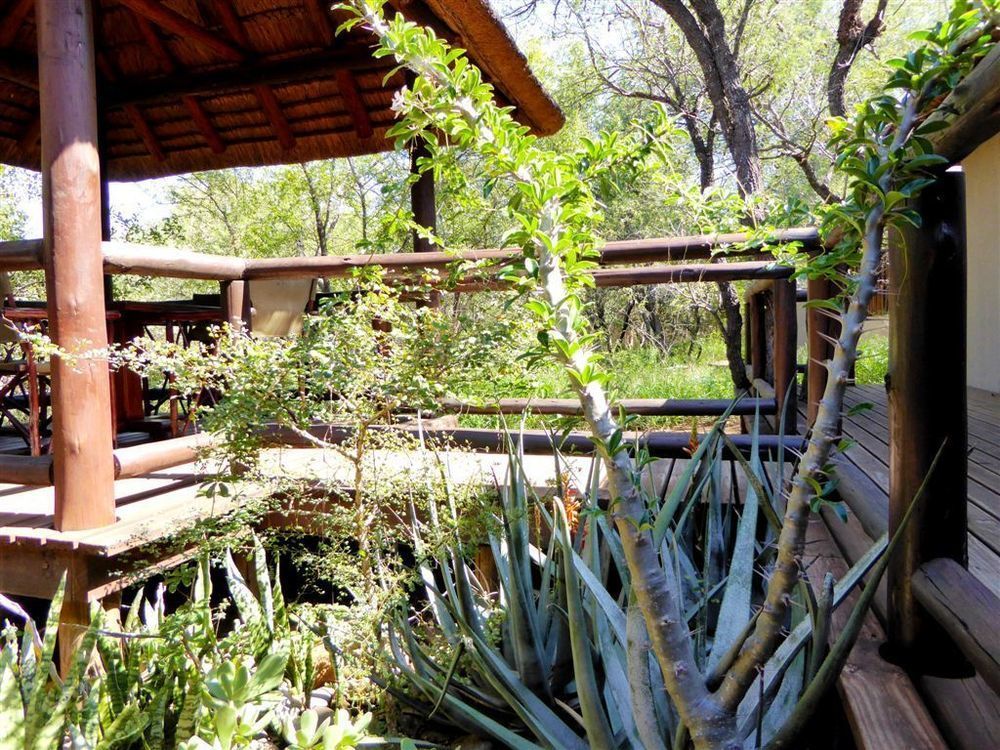 Hoedspruit Raptors Lodge N16 Zewnętrze zdjęcie